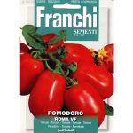Semences – DBO106-52 – Tomate Romaine – Pomodoro Roma – Franchi