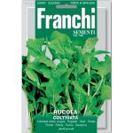 Semences – DBO115-1 – Roquette cultivée – Rucola cultivata – Franchi