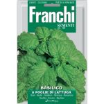 Semences – DBO13-3 – Basilic à feuilles de laitue – Basilico a foglie di lattuga – Franchi