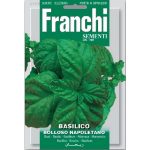 Semences – DBO13-8 – Basilic bulleux napolitain – Basilico bolloso napoletano – Franchi