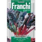 Semences – DBO14-15 – Poirée tige de rhubarbe – Bieta da coste rhubarb chard – Franchi