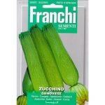 Semences – DBO146-10 – Courgette de Gène – Zucchino Genovese – Franchi