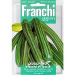 Semences – DBO146-2 – Courgette striée d’Italie – Zucchino striato d’Italia – Franchi