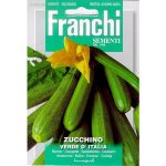 Semences – DBO146-36 – Courgette verte d’Italie – Zucchino verde d’Italia – Franchi