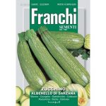 Semences – DBO146-40 – Courgette – Zucchino Alberello di Sarzana – Franchi