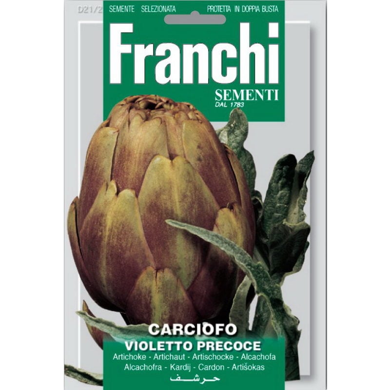 Semences - DBO21-2 - Artichaut violet précose - Carciofo violetto precoce - Franchi