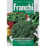 Semences – DBO25-23 – Brocoli Calabrais – Cavolo broccolo ramoso calabrese – Franchi