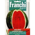 Semences – DBO3-6 – Pastèque douce pourpre – Anguria crimson sweet – Franchi