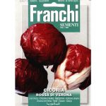 Semences – DBO40-13 – Chicorée à feuilles rouges de Vérone -Cicoria rossa di Verona – Franchi