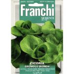 Semences – DBO40-27 – Chicorée à feuilles – Cicoria grumolo bionda – Franchi