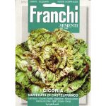 Semences – DBO40-5 – Chicorée à feuilles – Cicoria variegata castelfranco – Franchi