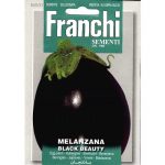 Semences – DBO90-21 – Aubergine beauté noire – Melanzana black beauty – Franchi