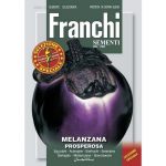 Semences – DBOS90-15 – Aubergine – Melanzana prosperosa – Franchi