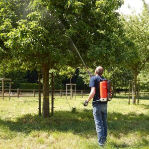 Pulvérisateur à dos - Flox 10 L - Birchmeier arbre