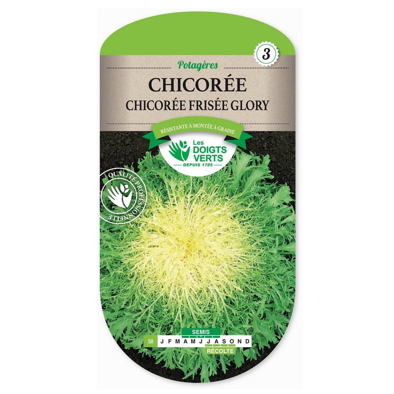 Semences - 058-CHICOREE FRISEE GLORY-page1 - Les Doigts Verts