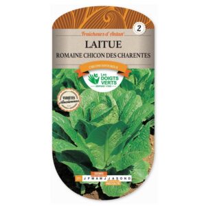 Semences - 271-LAITUE ROMAINE CHICON DES CHARENTES-page1 - Les Doigts Verts