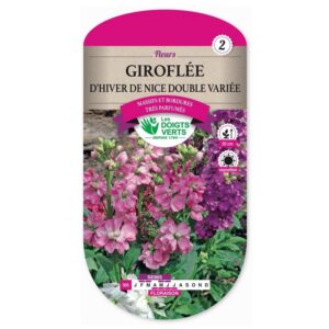 Semences - 565-GIROFLEE D’HIVER DE NICE DOUBLE VARIEE-page1 - Les Doigts Verts
