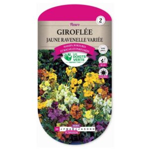 Semences - 566-GIROFLEE JAUNE RAVENELLE VARIEE-page1 - Les Doigts Verts