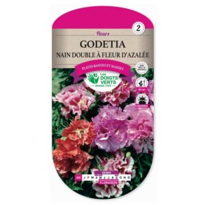 Semences - 569-GODETIA NAIN DOUBLE A FLEUR D’AZALEE-page1 - Les Doigts Verts