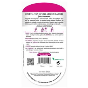 Semences - 569-GODETIA NAIN DOUBLE A FLEUR D’AZALEE-page2 - Les Doigts Verts