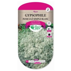 Semences - 603-GYPSOPHILE PANICULE SIMPLE BLANC-page1 - Les Doigts Verts