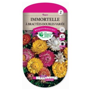 Semences - 611-IMMORTELLE A BRACTEES DOUBLES VARIEE-page1 - Les Doigts Verts