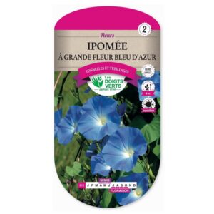 Semences - 613-IPOMEE A GRANDE FLEUR BLEU D’AZUR-page1 - Les Doigts Verts