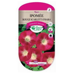 Semences - 614-IPOMEE ROUGE SCARLETT O’HARA-page1 - Les Doigts Verts