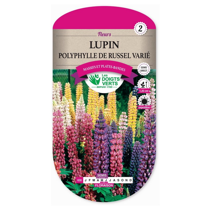 Semences - 630-LUPIN POLYPHYLLE DE RUSSEL VARIE-page1 - Les Doigts Verts