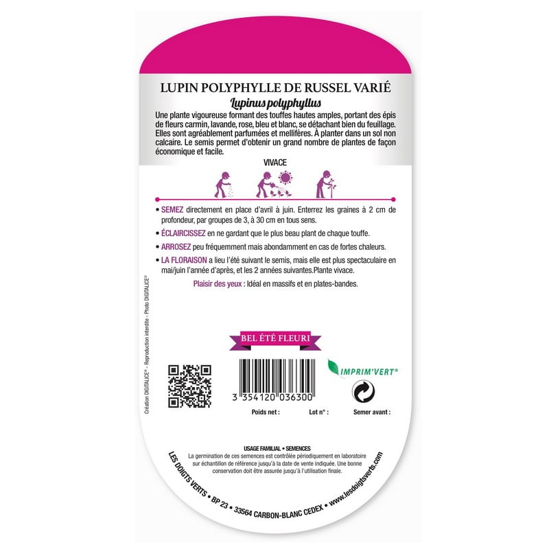 Semences - 630-LUPIN POLYPHYLLE DE RUSSEL VARIE-page2 - Les Doigts Verts