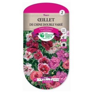 Semences - 658-OEILLET DE CHINE DOUBLE VARIE-page1 - Les Doigts Verts