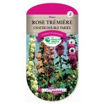 Semences – 710-ROSE TREMIERE CHATER DOUBLE VARIEE-page1 – Les Doigts Verts