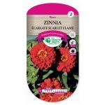 Semences – 734-ZINNIA ECARLATE SCARLET FLAME-page1 – Les Doigts Verts