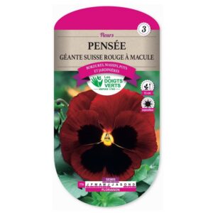 Semences - 779-PENSEE GEANTE SUISSE ROUGE A MACULE-page1 - Les Doigts Verts