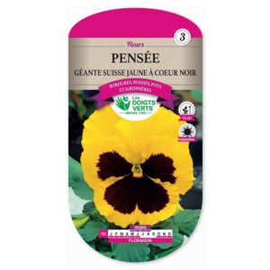 Semences - 782-PENSEE GEANTE SUISSE JAUNE A COEUR NOIR-page1 - Les Doigts Verts