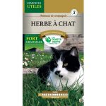 Semences – 930 eco-HERBE A CHAT-page1 – Les Doigts Verts