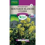Semences – 985 eco-MOUTARDE BLANCHE LITEMBER-page1 – Les Doigts Verts