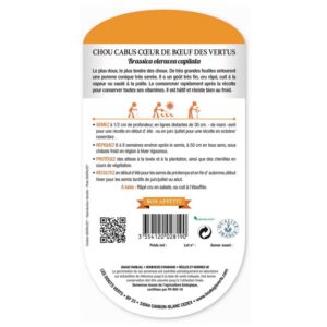 Semences Bio - 819-CHOU CABUS COEUR DE BOEUF DES VERTUS-page2 - Les Doigts Verts