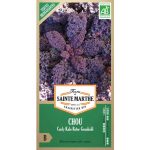 Semences bio – 950252–SACHET–CHOU-Curly-Kale-Roter-Grunkohl–RECTO – Ferme de Sainte Marthe