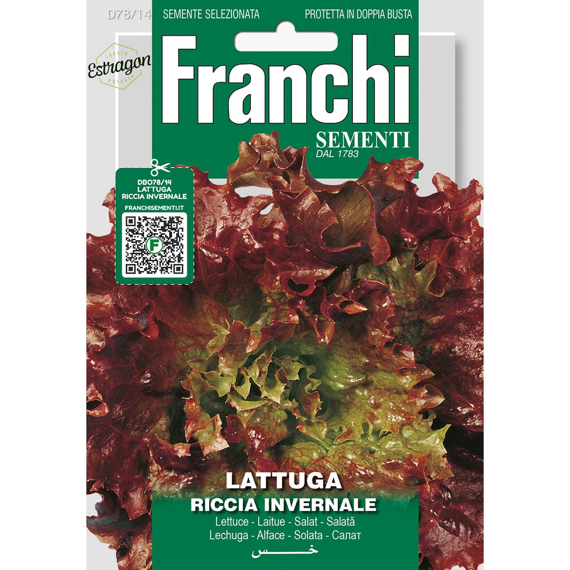 8012450701675 - DBO78-14 - Graines - Laitue frisee d hiver - Lattuga Riccia invernale - 8 gr - Franchi