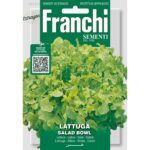 8012450701811 - DBO78-24 - Graines - Laitue Salad Bowl - Lattuga Salad Bowl - 7 gr - Franchi