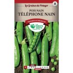 Semences – 387-POIS NAIN TELEPHONE NAIN-page1 – Les Doigts Verts