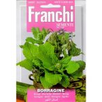 Semences – DBA16-1 – Bourrache – Borragine – Franchi