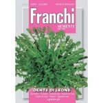 Semences – DBA50-1 – Pissenlit – Dente di leone – Franchi