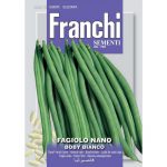 Semences – DBL59-16 – Haricot nain – Fagiolo nano boby bianco – Franchi