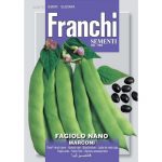 Semences – DBL59-41 – Haricot nain – Fagiolo nano marconi – Franchi
