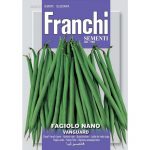 Semences – DBL59-51 – Haricot nain – Fagiolo nano Vanguardi – Franch