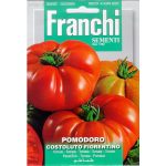 Semences – DBO106-18 – Tomate – Pomodoro costoluto Fiorentino – Franchi