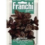 Semences – DBO13-5 – Basilic – Basilico violetto aromatico – Franchi