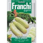 Semences – DBO37-32 – Concombre – Cetriolo white wonder – Franchi